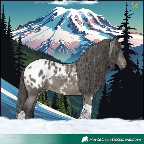 Horse Color:White Spotted Smoky Grullo Tobiano Appaloosa 