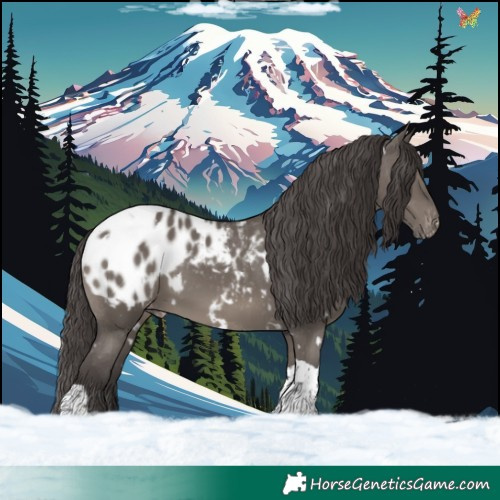Horse Color:White Spotted Smoky Grullo Tobiano Blanket 