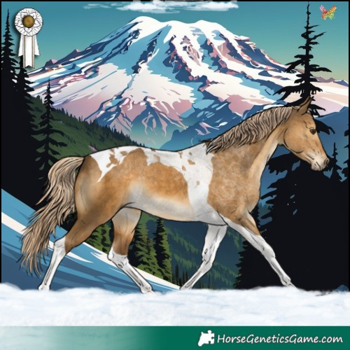 Horse Color:Chocolate Palomino Dun Tobiano 