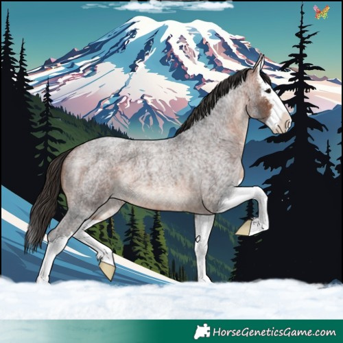 Horse Color:Bay Roan Splash 