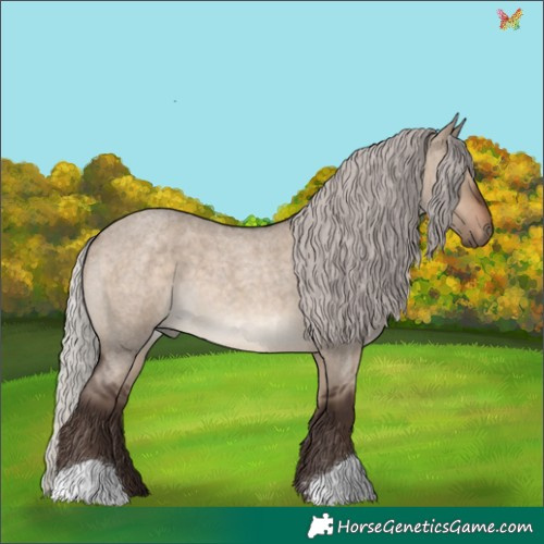 Horse Color:Silver Brown Roan Dun