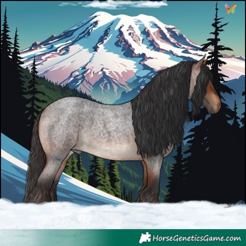 Horse Color:Bay Roan 