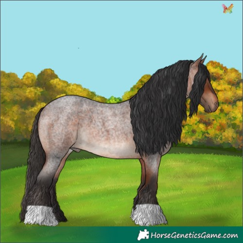 Horse Color:Bay Roan