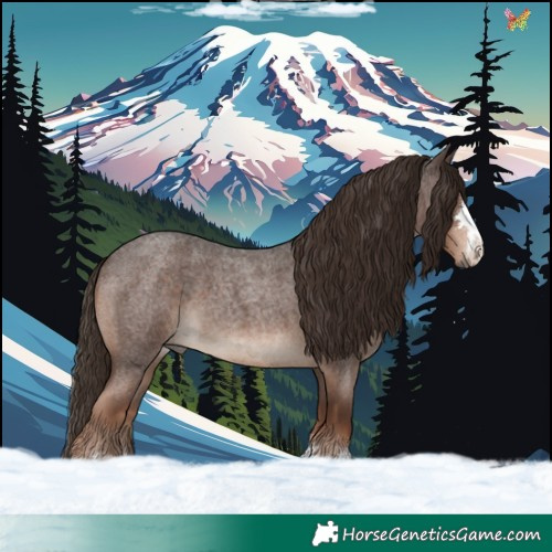 Horse Color:Liver Red Roan 