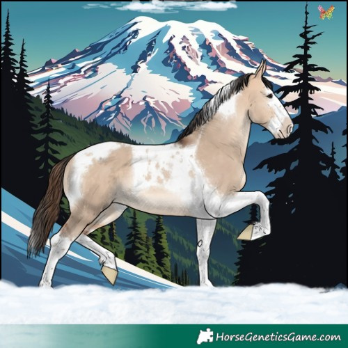 Horse Color:Bay Dun Splash Tobiano 