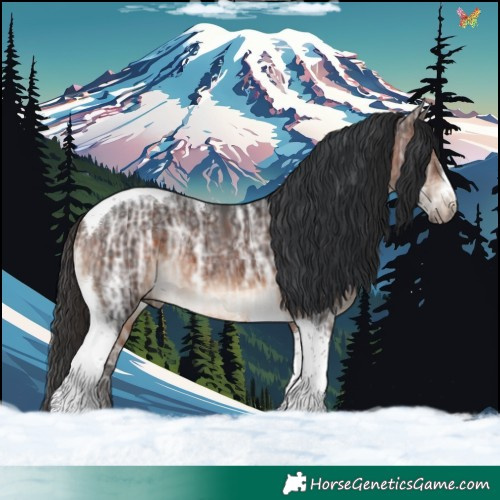 Horse Color:Brown Ice Tobiano Rabicano 