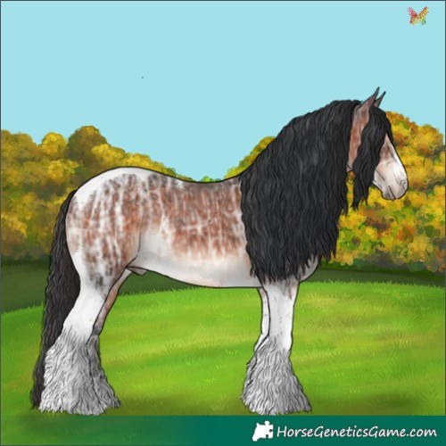 Horse Color:Brown Ice Tobiano Rabicano