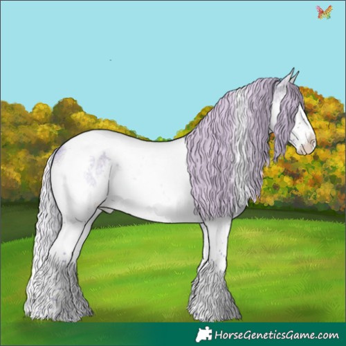 Horse Color:Watercolor Silver Brown Roan Splash Tobiano Appaloosa Rabicano