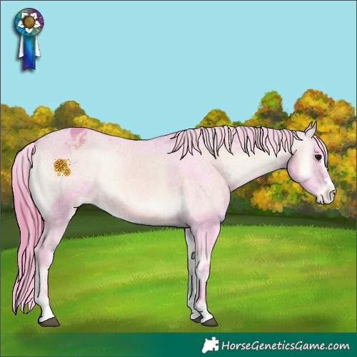 Horse Color:Watercolor Chocolate Buckskin Onyx Appaloosa 