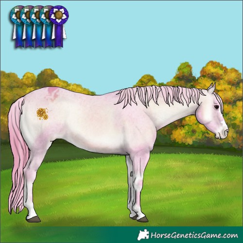 Horse Color:Watercolor Chocolate Buckskin Onyx Varnish 