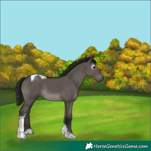 Horse Color:Gray Grullo Tobiano 