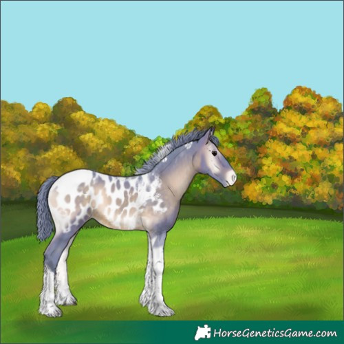 Horse Color:Watercolor Brown Onyx Mushroom Tobiano Near Leopard 