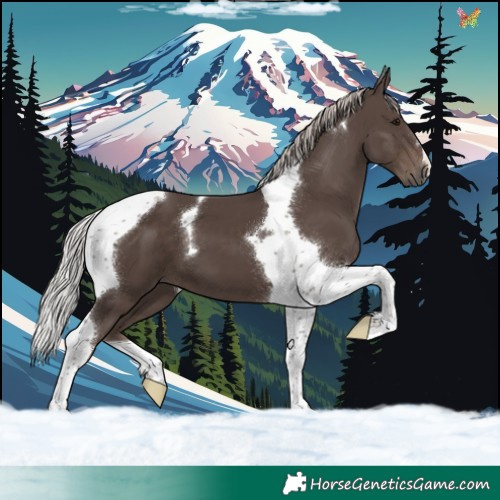 Horse Color:Silver Black Tobiano 