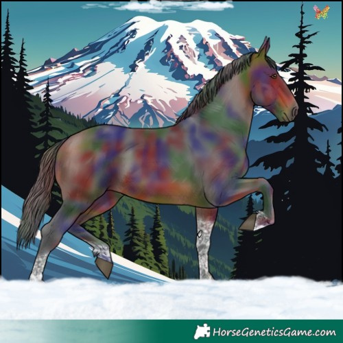 Horse Color:Nacre Bay Tobiano 