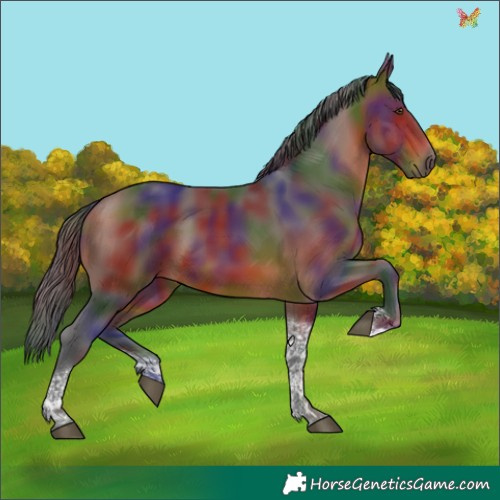 Horse Color:Nacre Bay Tobiano 