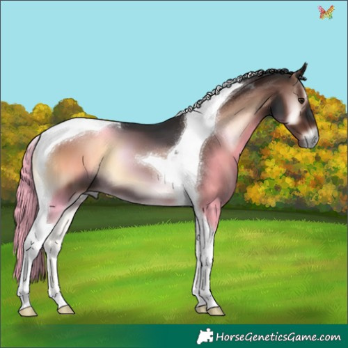 Horse Color:Liver Red Onyx Tobiano 