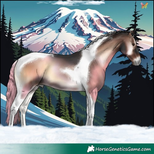 Horse Color:Liver Red Onyx Tobiano 