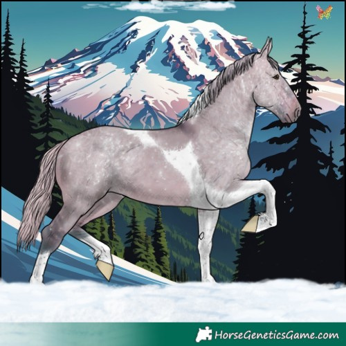 Horse Color:Watercolor Silver Brown Dun Tobiano 