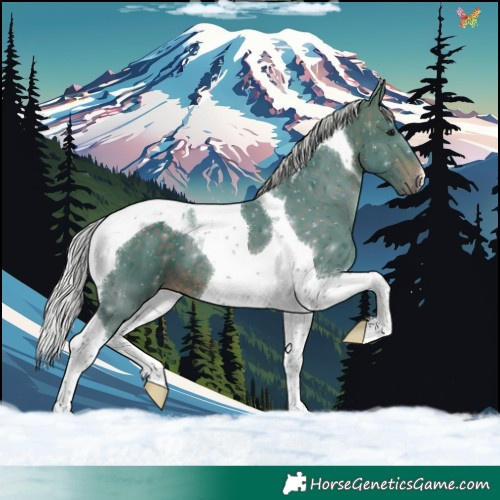 Horse Color:Watercolor Silver Brown Tobiano 