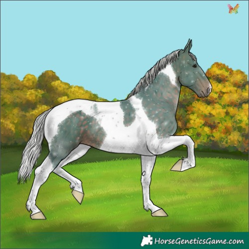 Horse Color:Watercolor Silver Brown Tobiano 