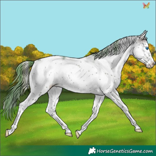 Horse Color:Watercolor White Spotted Brown Ice Onyx Splash Tobiano 