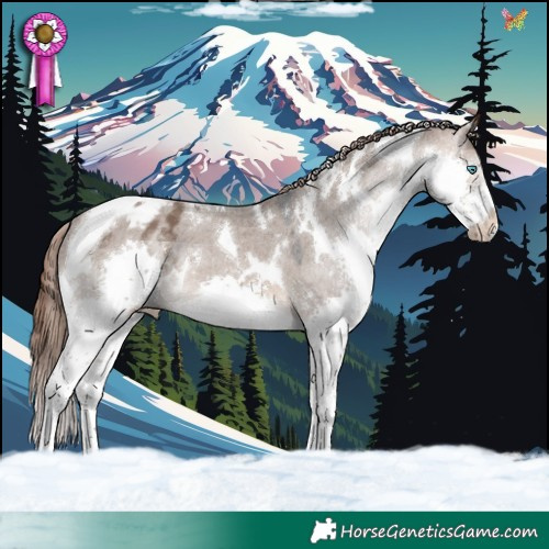 Horse Color:White Spotted Brown Dun Splash Tobiano Appaloosa 