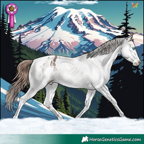 Horse Color:White Spotted Brown Dun Splash Tobiano Varnish 