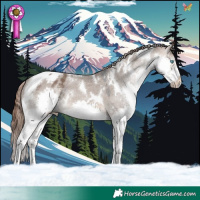 Horse Color:White Spotted Brown Dun Splash Tobiano Appaloosa 