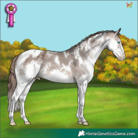 Horse Color:White Spotted Brown Dun Splash Tobiano Appaloosa