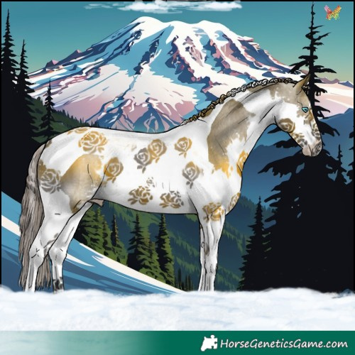 Horse Color:Grullo Splash Tobiano Appaloosa 