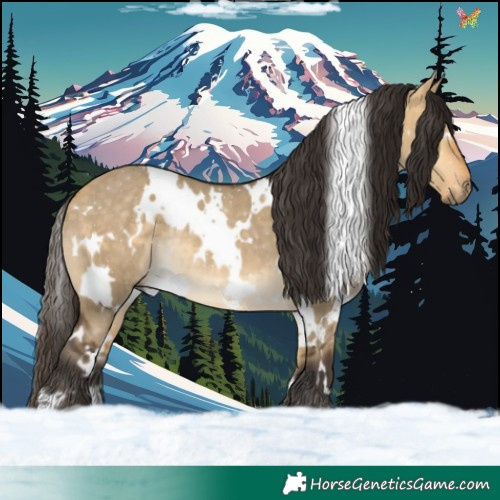 Horse Color:White Spotted Buckskin Dun 