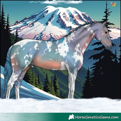 Horse Color:Watercolor White Spotted Smoky Grullo Tobiano 