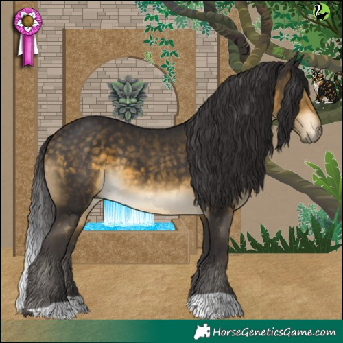 Horse Color:Buckskin 