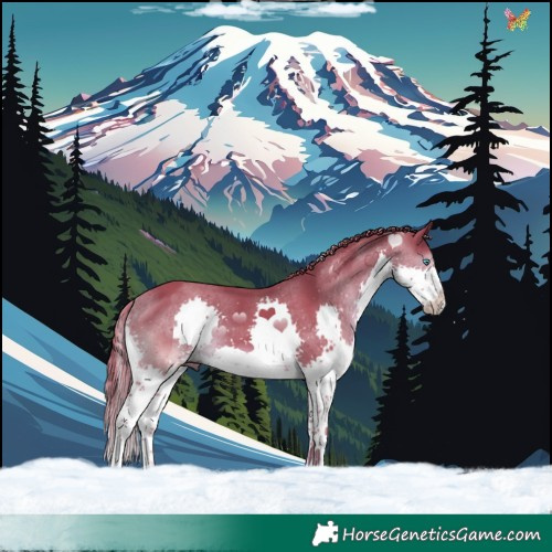 Horse Color:Watercolor Liver Chestnut Splash 