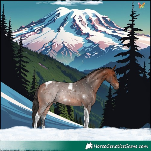 Horse Color:Bay Tobiano 