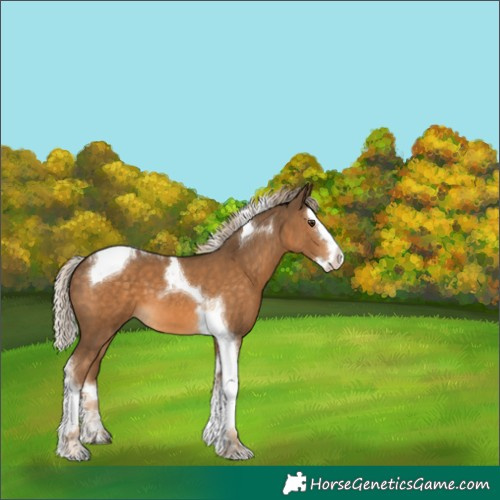 Horse Color:Chocolate Palomino Splash Tobiano 