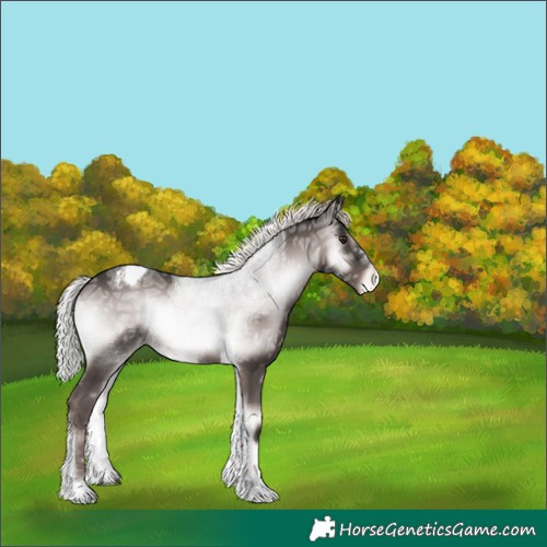 Horse Color:Platinum Liver Red Onyx Ice Tobiano Appaloosa 
