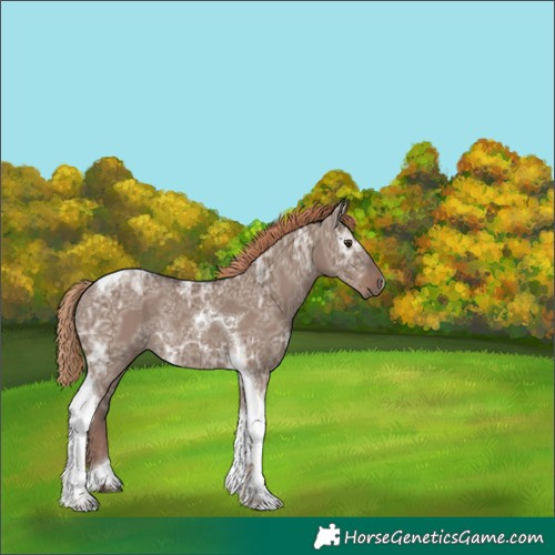 Horse Color:Liver Red Dun Ice Tobiano Rabicano 