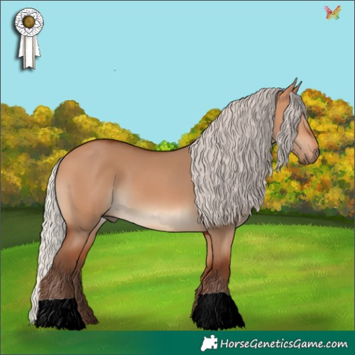 Horse Color:Silver Bay Dun