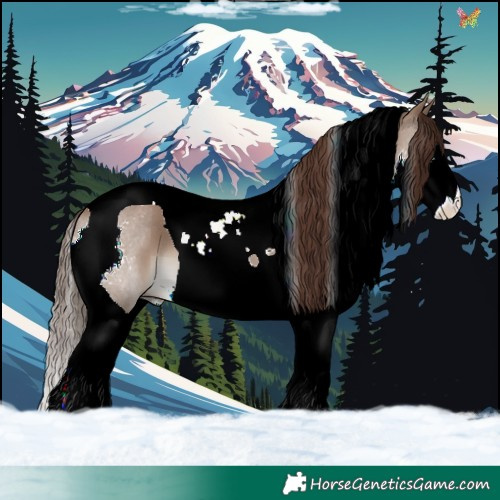 Horse Color:Liver Red Dun Splash Tobiano 