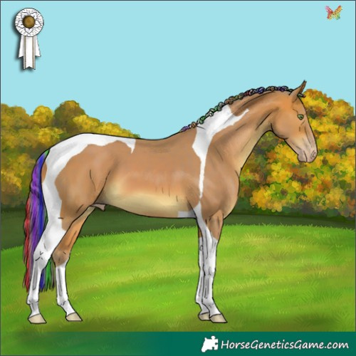 Horse Color:Painted Watercolor Amber Champagne Tobiano 