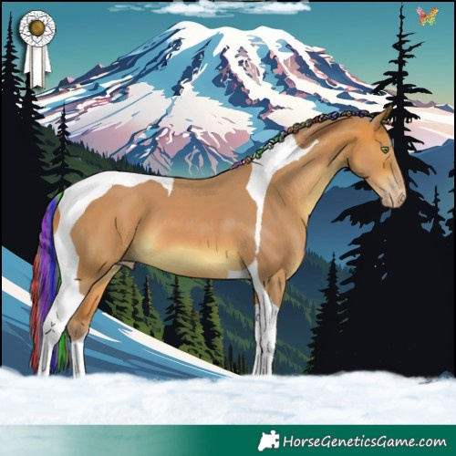 Horse Color:Painted Watercolor Amber Champagne Tobiano 