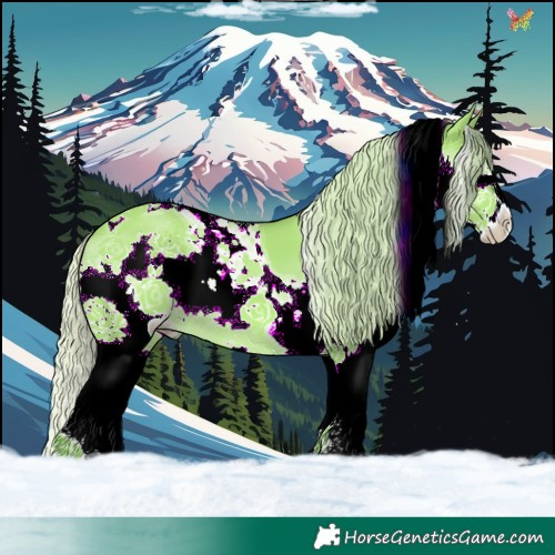 Horse Color:Watercolor Silver Smoky Grullo Splash Tobiano 