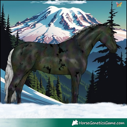 Horse Color:Void Watercolor White Spotted Midnight Silver Bay