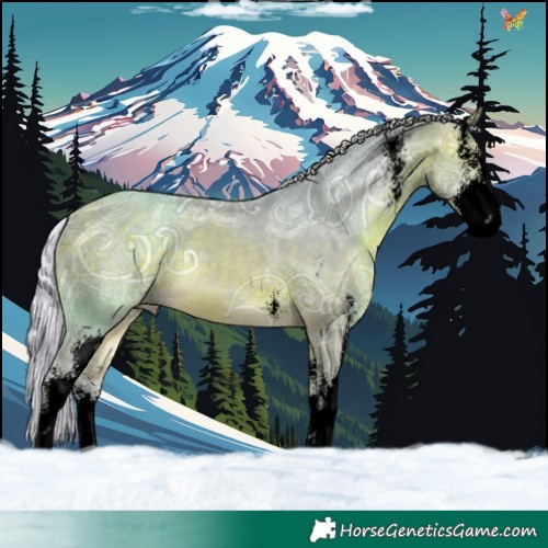 Horse Color:Void Watercolor Silver Bay Ice Sabino 