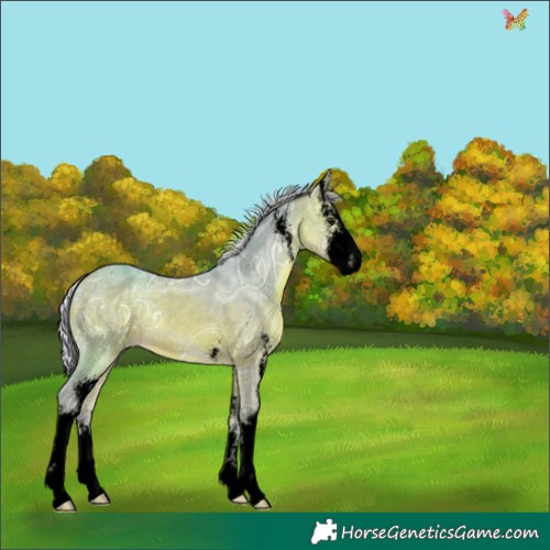 Horse Color:Void Watercolor Silver Bay Ice Sabino