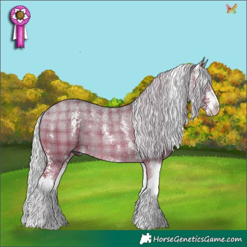 Horse Color:Plaid  Silver Bay Dun Sabino 