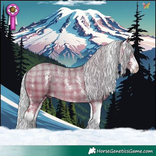 Horse Color:Plaid  Silver Bay Dun Sabino 