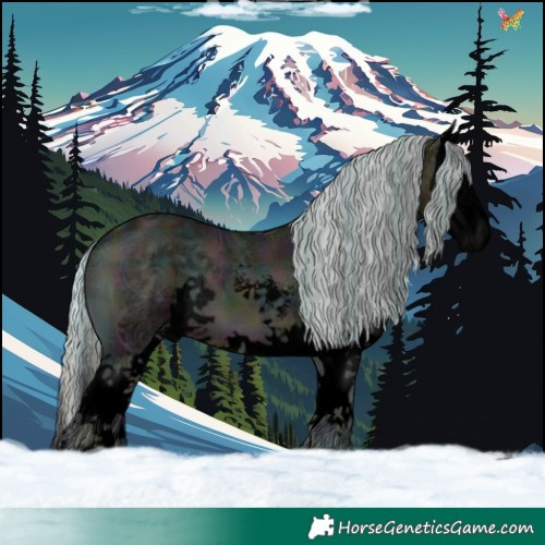 Horse Color:Void Plaid  Midnight Silver Bay Ice Onyx Sabino Splash 