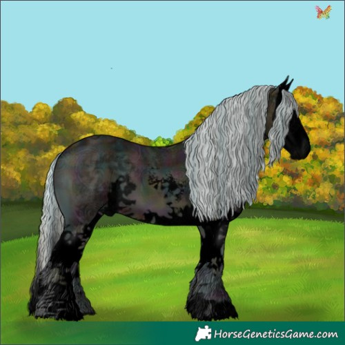 Horse Color:Void Plaid Midnight Silver Bay Ice Onyx Sabino Splash